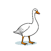 Bildhinweis