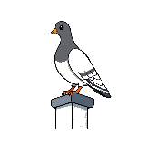 Bildhinweis