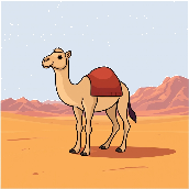Bildhinweis