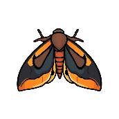Picture clue