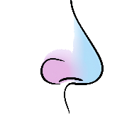 Picture clue