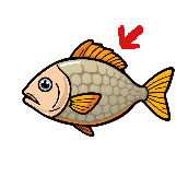 Picture clue