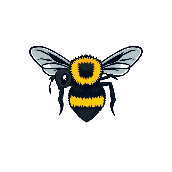 Picture clue