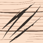 Picture clue